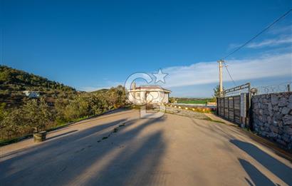 Mendeers Çatalca'da Yüzme Havuzlu Satılık Çiftlik Evi