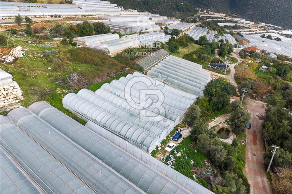 CB ARDEN DEN DEMRE İSKELE (YUKARI BEYMELEK) DE SATILIK TARLA