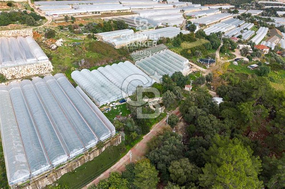 CB ARDEN DEN DEMRE İSKELE (YUKARI BEYMELEK) DE SATILIK TARLA