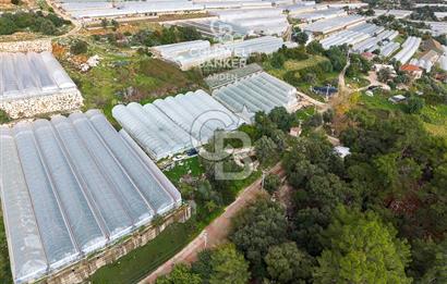 CB ARDEN DEN DEMRE İSKELE (YUKARI BEYMELEK) DE SATILIK TARLA