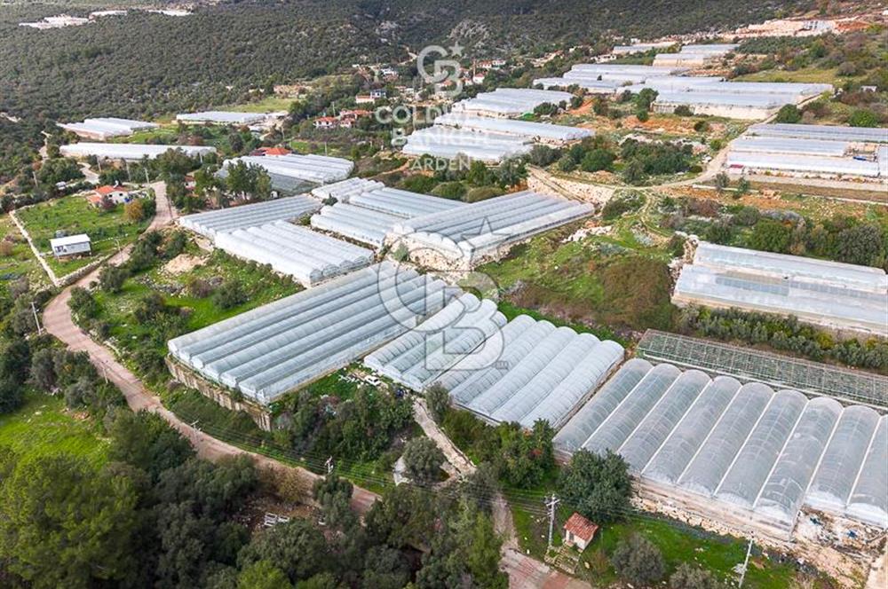 CB ARDEN DEN DEMRE İSKELE (YUKARI BEYMELEK) DE SATILIK TARLA