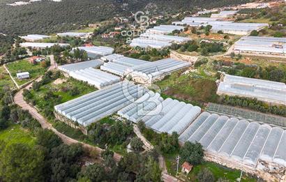 CB ARDEN DEN DEMRE İSKELE (YUKARI BEYMELEK) DE SATILIK TARLA