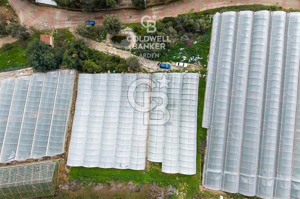 CB ARDEN DEN DEMRE İSKELE (YUKARI BEYMELEK) DE SATILIK TARLA