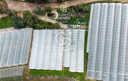 CB ARDEN DEN DEMRE İSKELE (YUKARI BEYMELEK) DE SATILIK TARLA