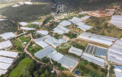 CB ARDEN DEN DEMRE İSKELE (YUKARI BEYMELEK) DE SATILIK TARLA