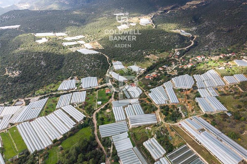 CB ARDEN DEN DEMRE İSKELE (YUKARI BEYMELEK) DE SATILIK TARLA