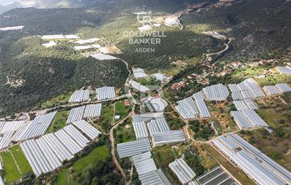 CB ARDEN DEN DEMRE İSKELE (YUKARI BEYMELEK) DE SATILIK TARLA