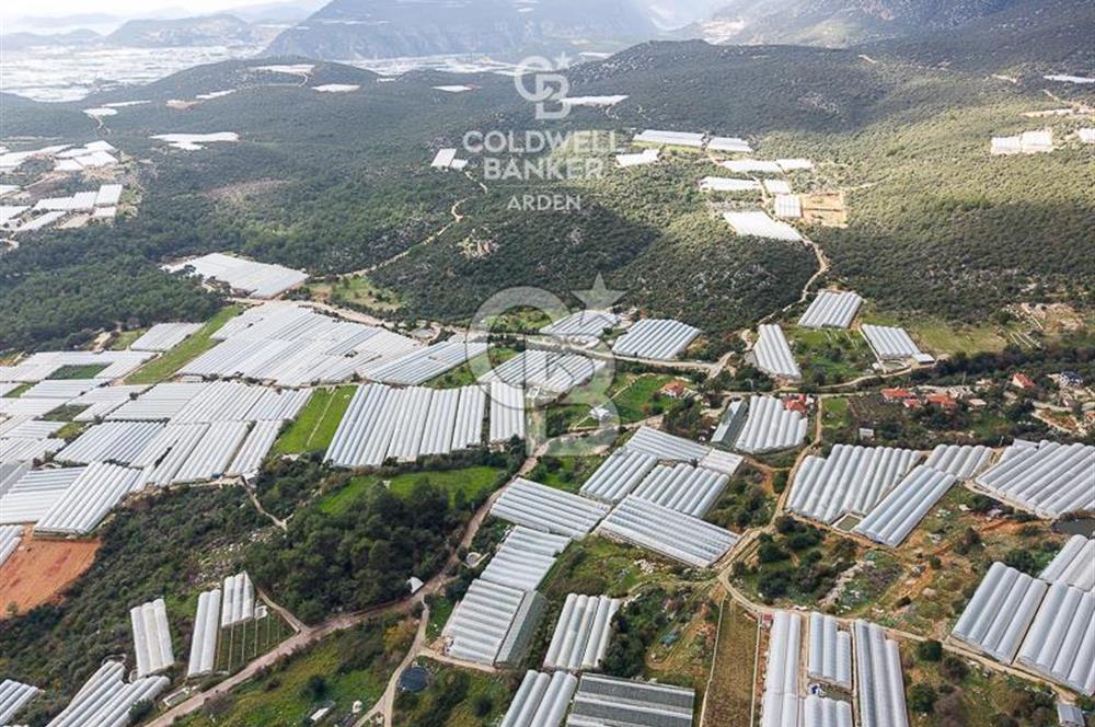 CB ARDEN DEN DEMRE İSKELE (YUKARI BEYMELEK) DE SATILIK TARLA