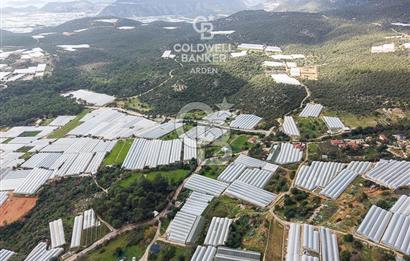 CB ARDEN DEN DEMRE İSKELE (YUKARI BEYMELEK) DE SATILIK TARLA