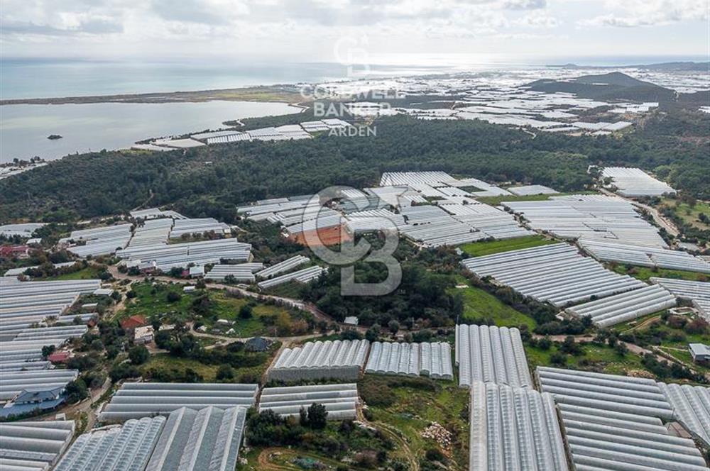 CB ARDEN DEN DEMRE İSKELE (YUKARI BEYMELEK) DE SATILIK TARLA