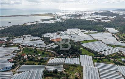 CB ARDEN DEN DEMRE İSKELE (YUKARI BEYMELEK) DE SATILIK TARLA