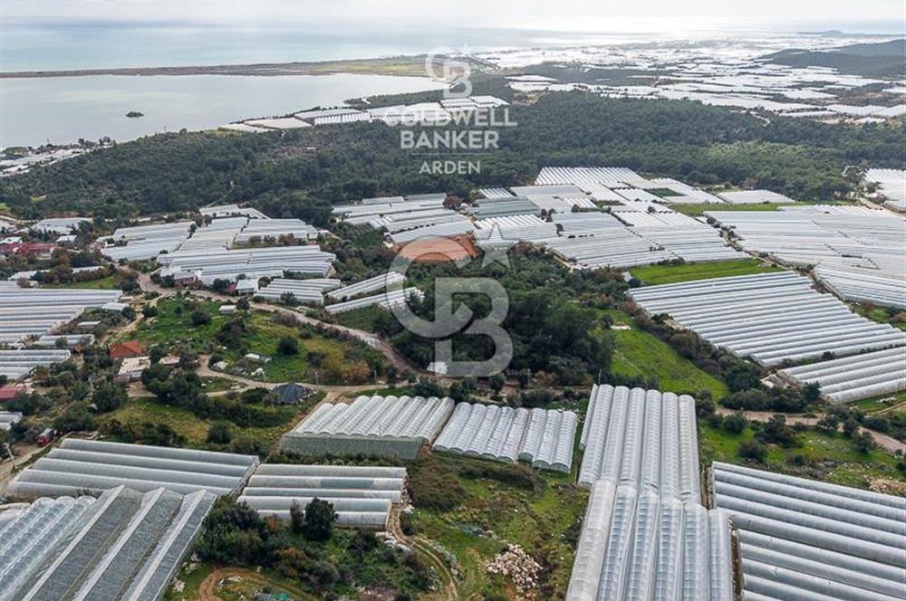 CB ARDEN DEN DEMRE İSKELE (YUKARI BEYMELEK) DE SATILIK TARLA