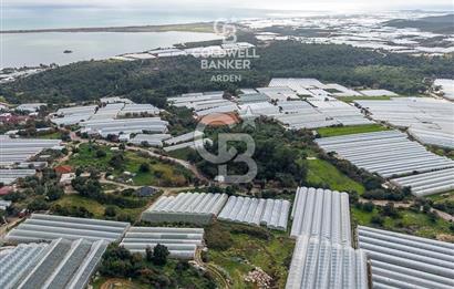 CB ARDEN DEN DEMRE İSKELE (YUKARI BEYMELEK) DE SATILIK TARLA