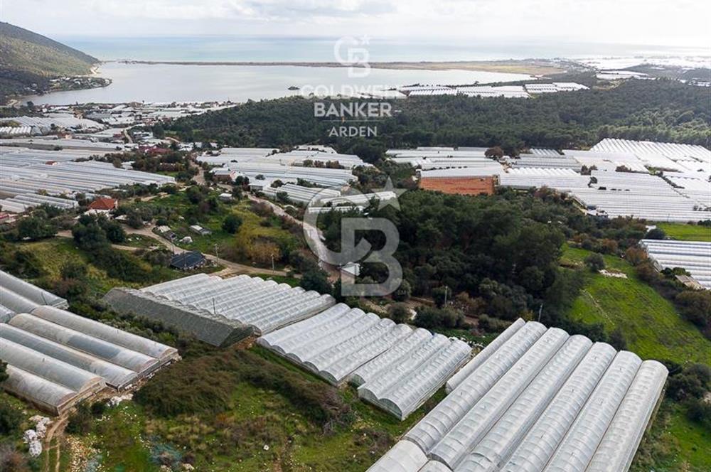 CB ARDEN DEN DEMRE İSKELE (YUKARI BEYMELEK) DE SATILIK TARLA