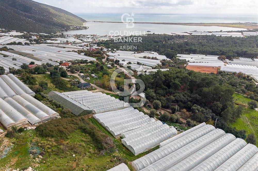 CB ARDEN DEN DEMRE İSKELE (YUKARI BEYMELEK) DE SATILIK TARLA