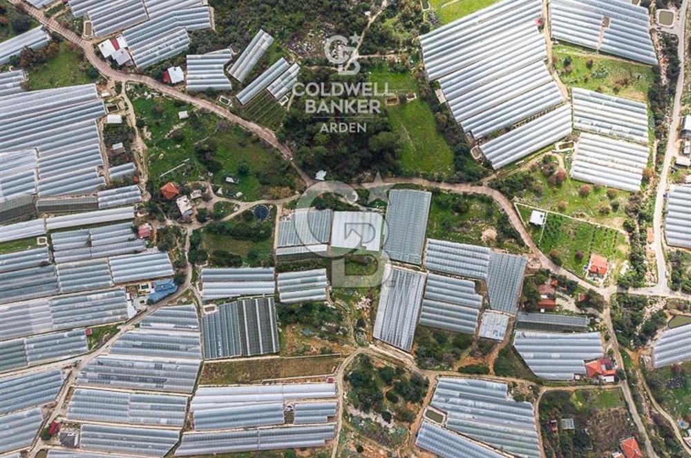 CB ARDEN DEN DEMRE İSKELE (YUKARI BEYMELEK) DE SATILIK TARLA