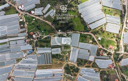 CB ARDEN DEN DEMRE İSKELE (YUKARI BEYMELEK) DE SATILIK TARLA