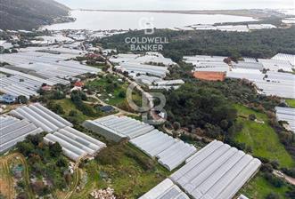 CB ARDEN DEN DEMRE İSKELE (YUKARI BEYMELEK) DE SATILIK TARLA - 2 - 333565