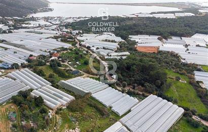 CB ARDEN DEN DEMRE İSKELE (YUKARI BEYMELEK) DE SATILIK TARLA