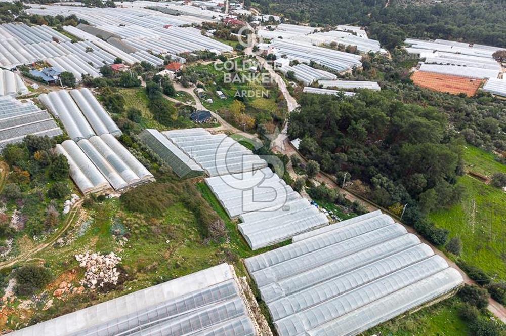 CB ARDEN DEN DEMRE İSKELE (YUKARI BEYMELEK) DE SATILIK TARLA