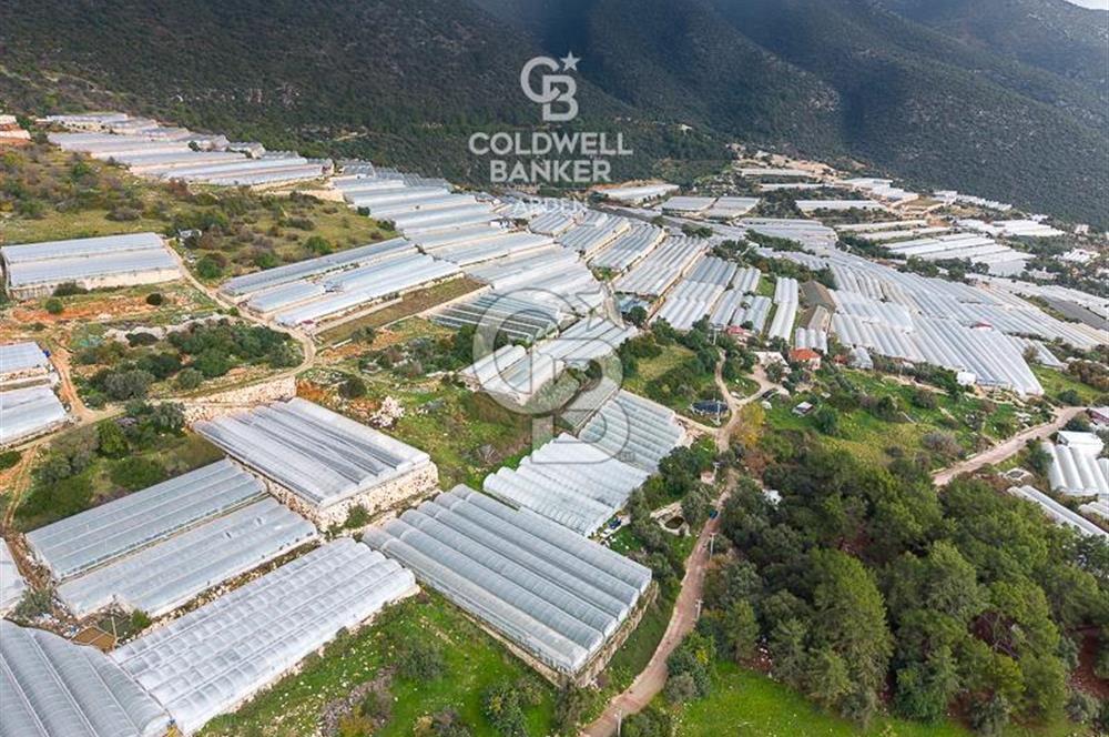 CB ARDEN DEN DEMRE İSKELE (YUKARI BEYMELEK) DE SATILIK TARLA