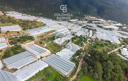 CB ARDEN DEN DEMRE İSKELE (YUKARI BEYMELEK) DE SATILIK TARLA