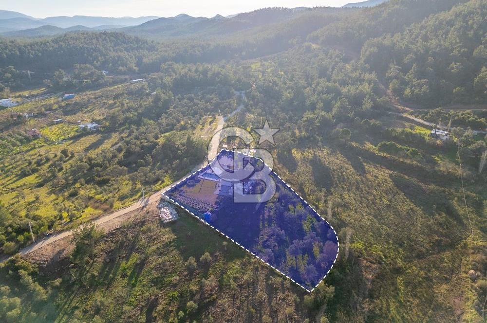 Mendeers Çatalca'da Yüzme Havuzlu Satılık Çiftlik Evi