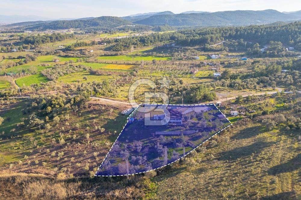 Mendeers Çatalca'da Yüzme Havuzlu Satılık Çiftlik Evi