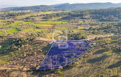 Mendeers Çatalca'da Yüzme Havuzlu Satılık Çiftlik Evi