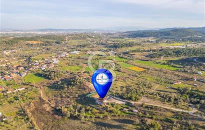 Mendeers Çatalca'da Yüzme Havuzlu Satılık Çiftlik Evi