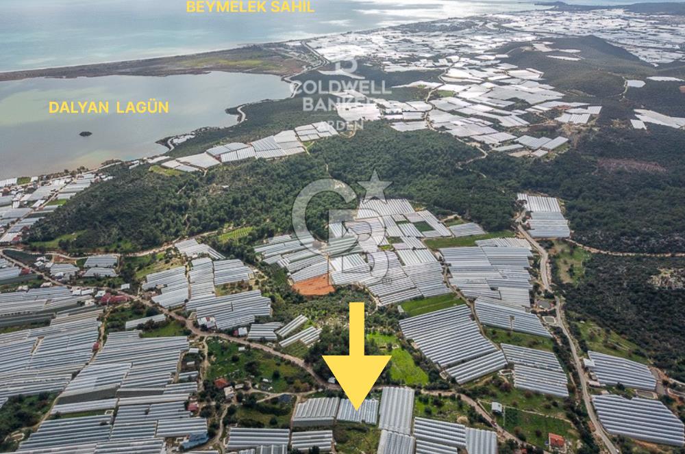 CB ARDEN DEN DEMRE İSKELE (YUKARI BEYMELEK) DE SATILIK TARLA