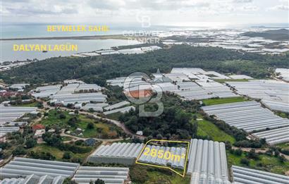 CB ARDEN DEN DEMRE İSKELE (YUKARI BEYMELEK) DE SATILIK TARLA