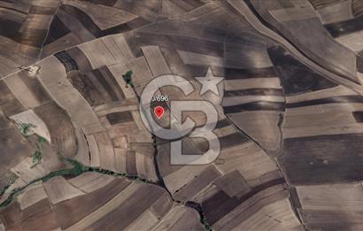 Bandırma Çepnide Yatırım Değerinde 17.500 m² Satılık Tarla