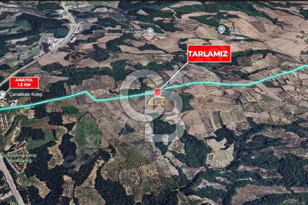 Çanakkale Merkez Çınarlı Köyünde Satılık 11 Dönüm Tarla !