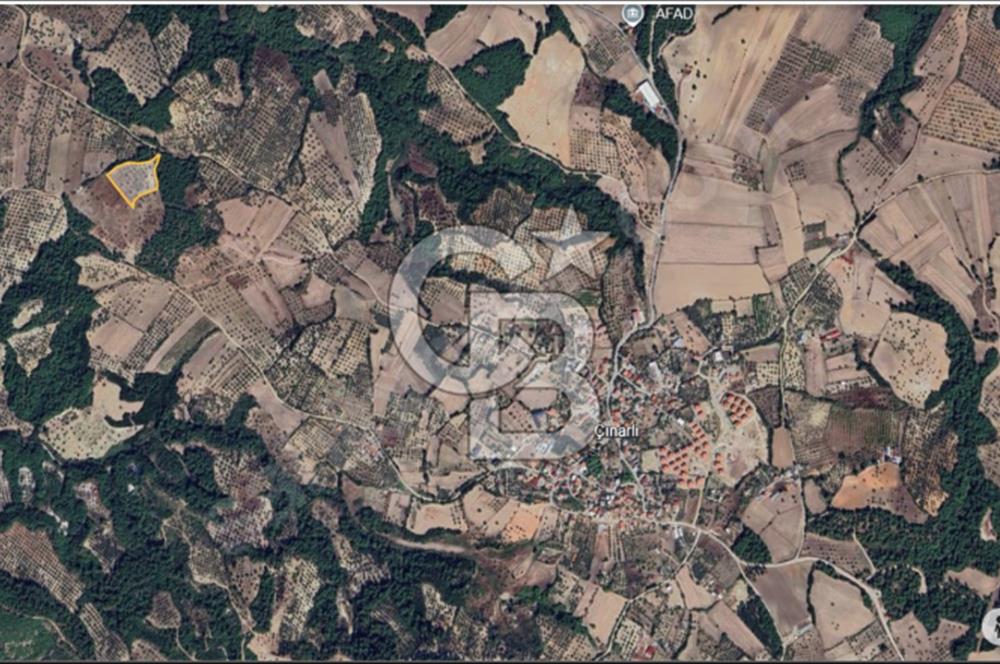 Çanakkale Merkez Çınarlı Köyünde Satılık 11 Dönüm Tarla !