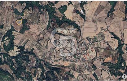 Çanakkale Merkez Çınarlı Köyünde Satılık 11 Dönüm Tarla !