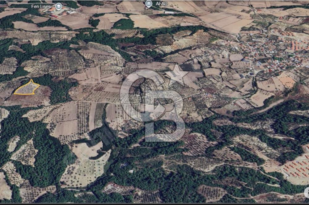 Çanakkale Merkez Çınarlı Köyünde Satılık 11 Dönüm Tarla !