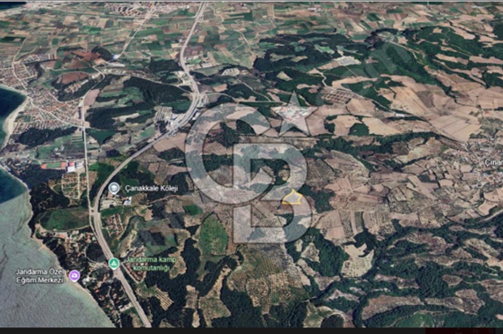 Çanakkale Merkez Çınarlı Köyünde Satılık 11 Dönüm Tarla !