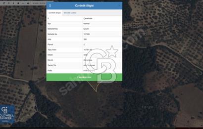 Çanakkale Merkez Çınarlı Köyünde Satılık 11 Dönüm Tarla !