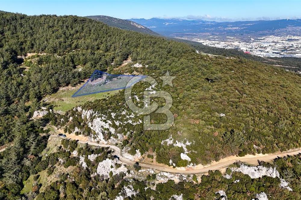 KEMALPAŞA KIZILÜZÜM SATILIK TARLA