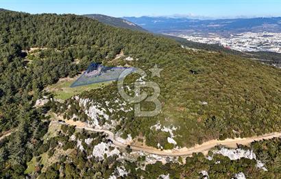 KEMALPAŞA KIZILÜZÜM SATILIK TARLA