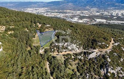 KEMALPAŞA KIZILÜZÜM SATILIK TARLA