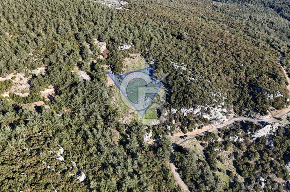 KEMALPAŞA KIZILÜZÜM SATILIK TARLA