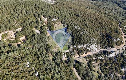 KEMALPAŞA KIZILÜZÜM SATILIK TARLA