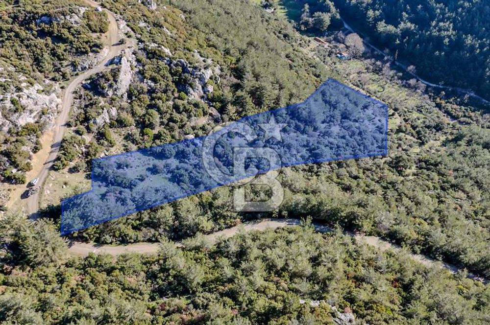 KEMALPAŞA KIZILÜZÜM SATILIK TARLA