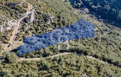 KEMALPAŞA KIZILÜZÜM SATILIK TARLA