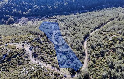 KEMALPAŞA KIZILÜZÜM SATILIK TARLA