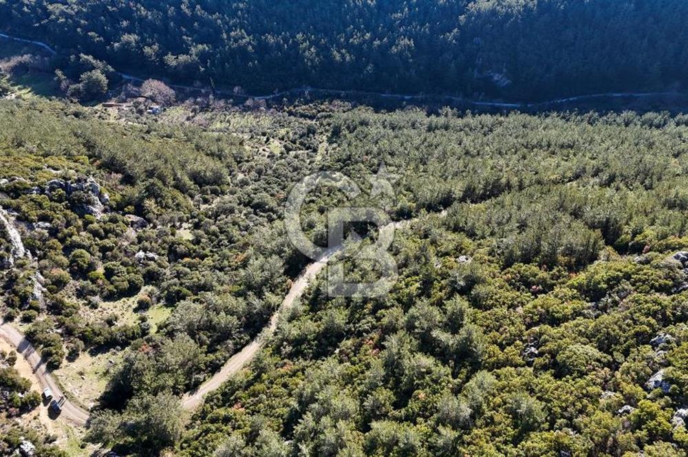 KEMALPAŞA KIZILÜZÜM SATILIK TARLA