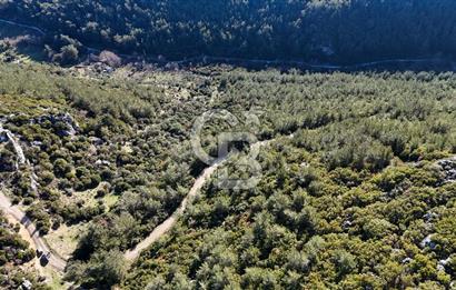 KEMALPAŞA KIZILÜZÜM SATILIK TARLA