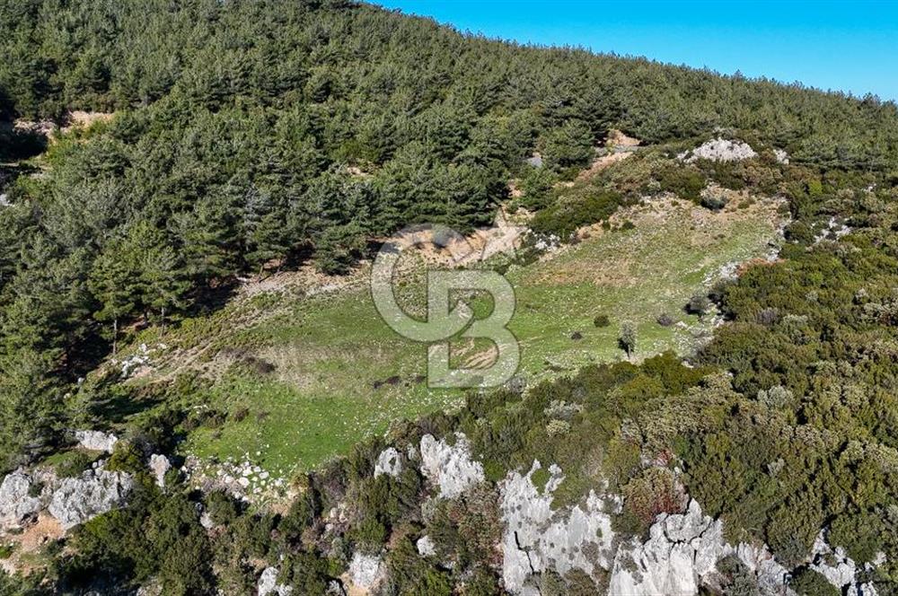 KEMALPAŞA KIZILÜZÜM SATILIK TARLA